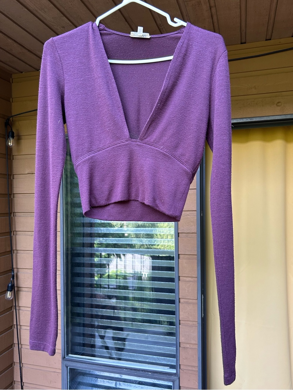 Wilfred Plum Deep V Long-Sleeve Crop Top